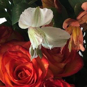 Meet your Posher, tiffany